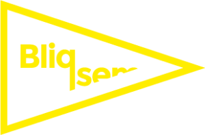Logo_Bliqsem_geel